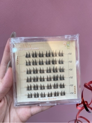 LÔNG MI CỤM CÓ SẴN KEO JARY PRO CLUSTER LASHES HỘP NHỰA 6 HÀNG - P5 LÚA MÌ ĐÔI - KHÔNG VỎ