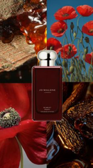 Jo Malone Scarlet Poppy Cologne Intense 50ml