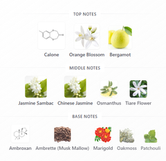 Atelier Des Ors Nuda Veritas 100ml