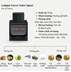 Lalique Encre Noire EDT 100ml