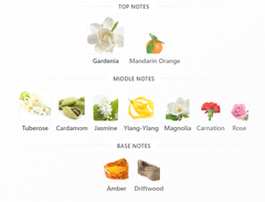 Banana Republic Gardenia & Cardamom EDP - 10ml