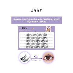Jary Mi Giả