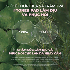 Neogen Dermalogy Calming Cica Tree Pad