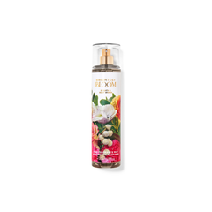 Bath & Body Works Mist (New)