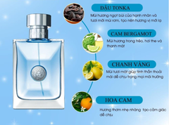 Versace Pour Homme EDT - 10ml