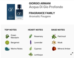 Giorgio Armani Acqua Di Gio Profondo EDP - 10ml