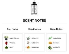 Maison Margiela Replica Soul Of The Forest - 10ml