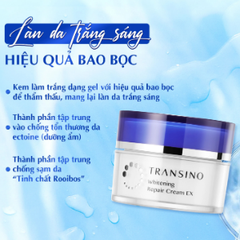 Transino Wgitening Repair Cream EX