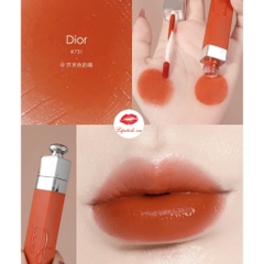 Dior Son Highend - Addict Lip Tint - 731 Natural Ginger