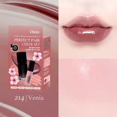 Dinto Perfect Pair Cheek Set - 205
