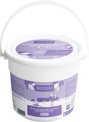 Sô-cô-la compound ChocoNut M053 12x1 KG - 4029153