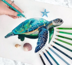 Bút chì màu lẻ Prismacolor Premier Soft Core PC1103 - Caribbean Sea