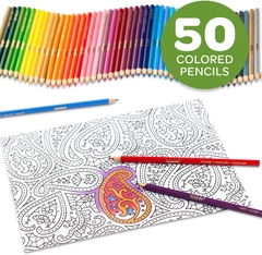 Bộ bút chì màu cho bé tập vẽ tranh Crayola Colored Pencils - 50 Màu