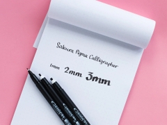 Bút lông vẽ thư pháp chuyên dụng Sakura Pigma Calligrapher - Màu đen