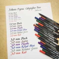 Bút lông vẽ thư pháp chuyên dụng Sakura Pigma Calligrapher - Màu đen