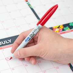 Bút lông vẽ đa chất liệu Expo Vis-a-Vis Wet Erase Fine Markers
