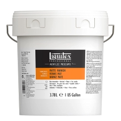 Dung dịch tạo lớp phủ bảo vệ màu Liquitex Professional Varnish