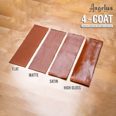 Phủ bảo vệ màu cao cấp Angelus 4 - Coat