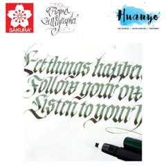 Bút lông vẽ thư pháp chuyên dụng Sakura Pigma Calligrapher - Màu đen