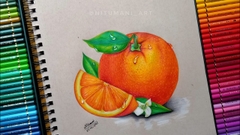 [BẢNG 2: 158 > 246] - Bút chì màu hạng họa sĩ Faber-Castell Polychromos (Cây lẻ)