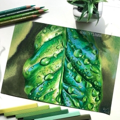 Phấn tiên cao cấp Prismacolor Premier NuPastels - 24 Màu