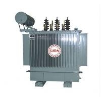 BIẾN ÁP ĐIỆN LỰC 6-10/0,4KV,22/0,4KV