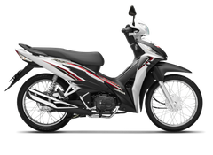 Wave RSX FI 110