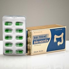 Đại Tràng Bảo Nguyên