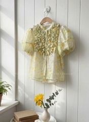 Áo sơ mi bèo ngực