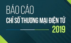 Vietnam E-Business Index 2019 Report