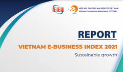 Vietnam E-commerce Index 2021 Report