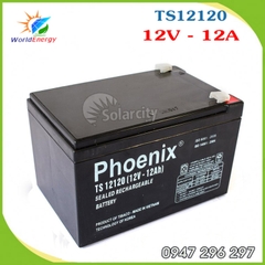 Ắc quy Phoenix 12V-12Ah (TS12120)