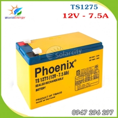 ẮC QUY PHOENIX 12V-7.5AH (TS1275) - Vàng