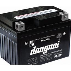 ẮC QUY XE MÁY KHÔ ĐỒNG NAI 12V-3,5Ah (PTZ4V)
