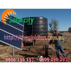 Hệ thống máy bơm nước năng lượng mặt trời 5.0HP