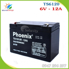 ẮC QUY PHOENIX 6V- 12AH (TS6120) cho xe điện trẻ em