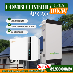 Hệ thống điện năng lượng mặt trời Hybrid 3 pha 10KW (combo 02)