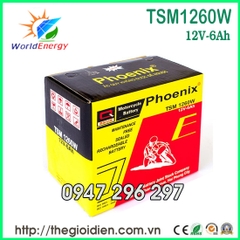 Ắc quy Phoenix 12V-6Ah (TSM1260W)