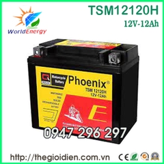 Ắc quy Phoenix 12V-12Ah (TSM12120H)