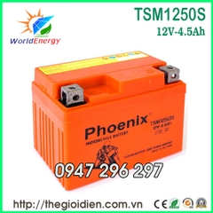 Ắc quy Phoenix 12V-4.5Ah (TSM1250S)