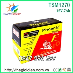 Ắc quy Phoenix 12V-7Ah (TSM1270)