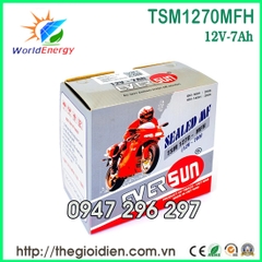 Ắc quy Eversun 12V-7Ah (TSM1270MFH)