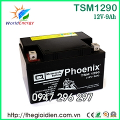 Ắc quy Phoenix 12V-9Ah (TSM1290)