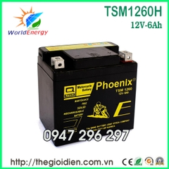 Ắc quy Phoenix 12V-6Ah (TSM1260H)