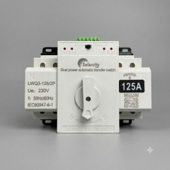 ATS chậm 1pha 125A
