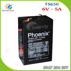 ẮC QUY PHOENIX 6V-5Ah (TS650) dùng cho xe điện trẻ em