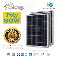 Tấm pin mặt trời Poly 60W SolarCity
