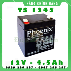 ẮC QUY KÍN KHÍ PHOENIX 12V-4,5Ah (TS1245)