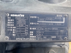 FD25T-17- 300794