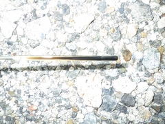 SAKAI   TW502-1-20197